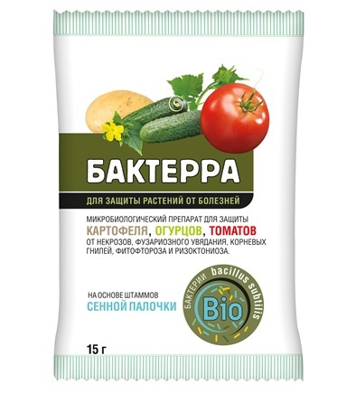 Бактерра