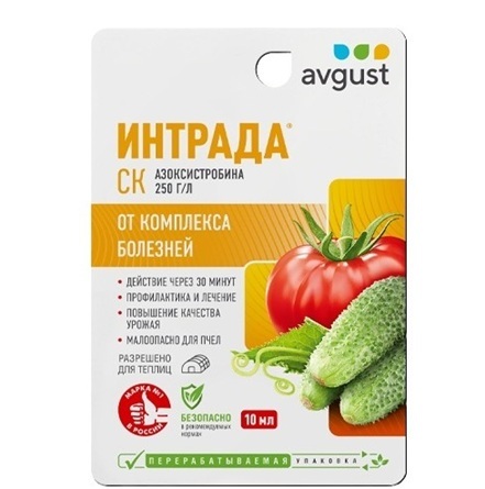 Интрада
