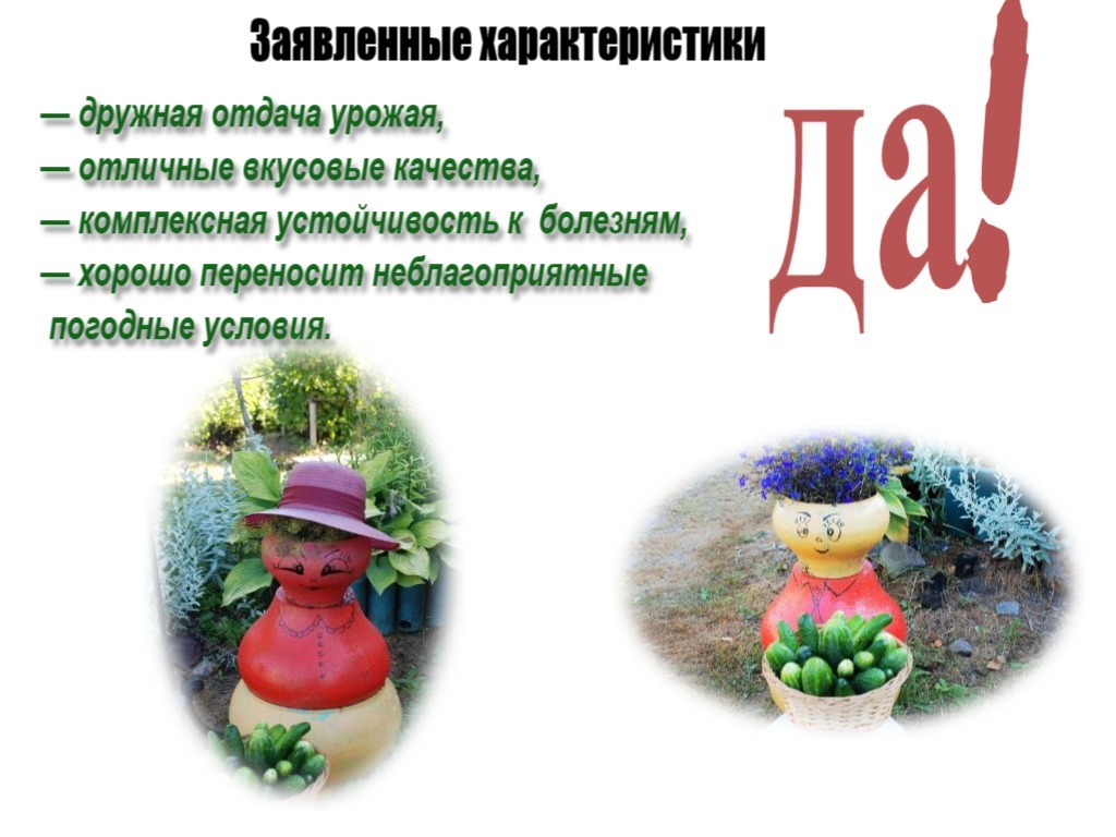 Соответствие заявленным характеристикам