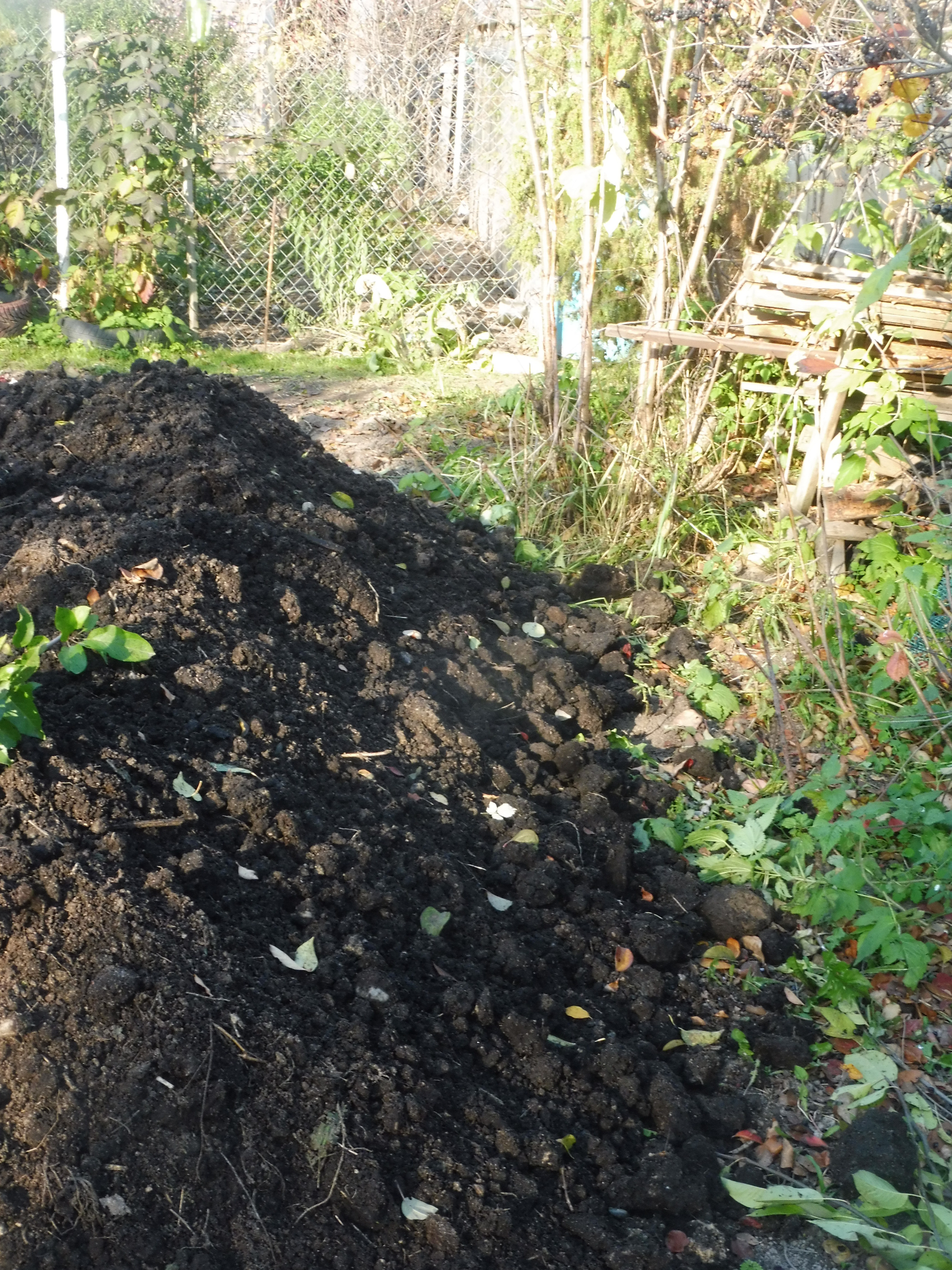 Чем удобрить землю осенью если нет навоза?
