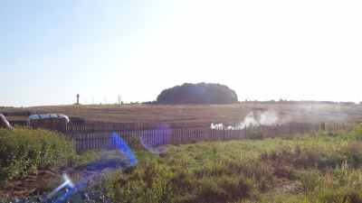 photo