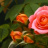 user_63518