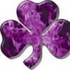shamrockpurple