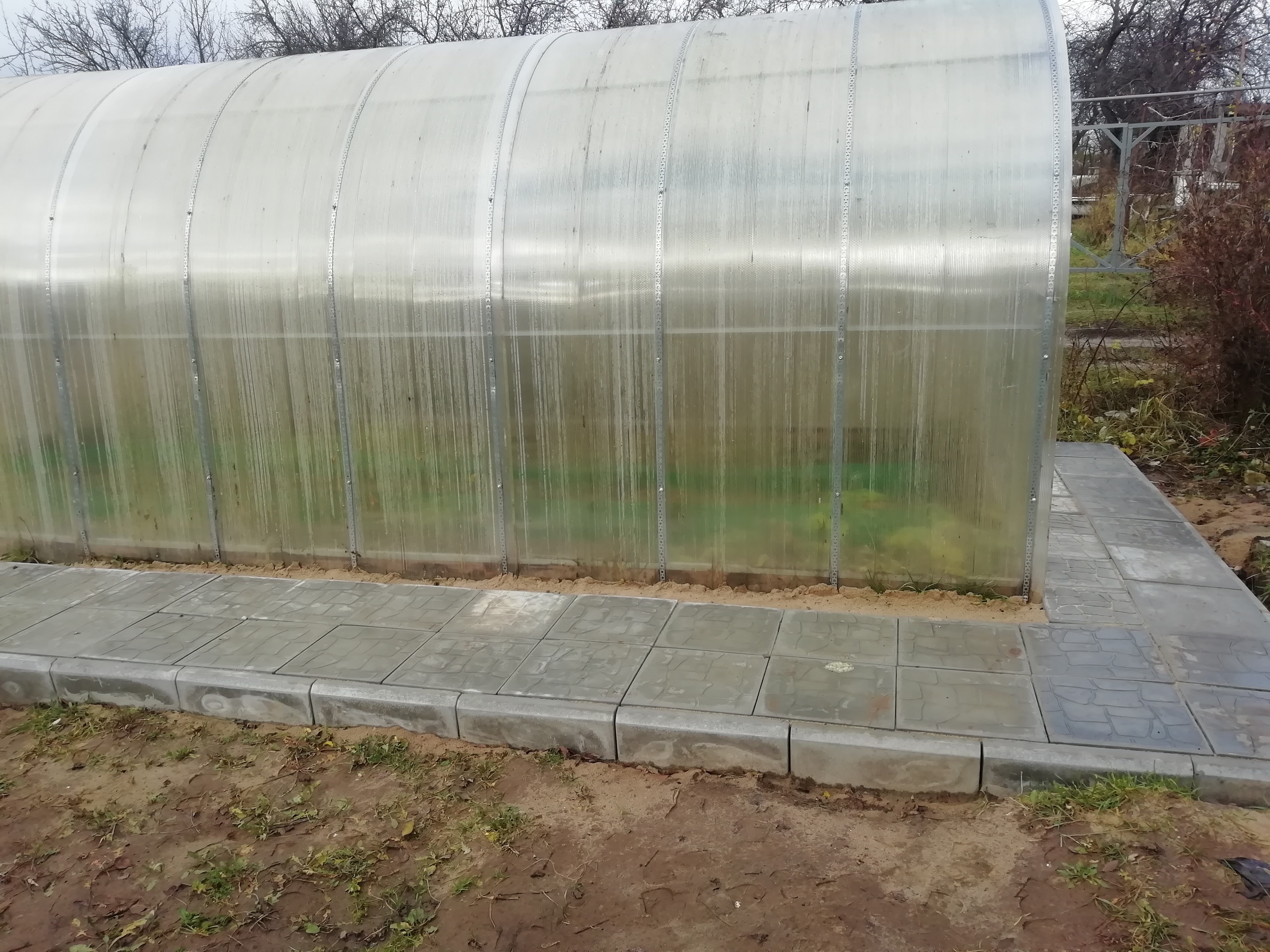 После недели ежедневных дождей на дорожке сухо. Вода не стоит