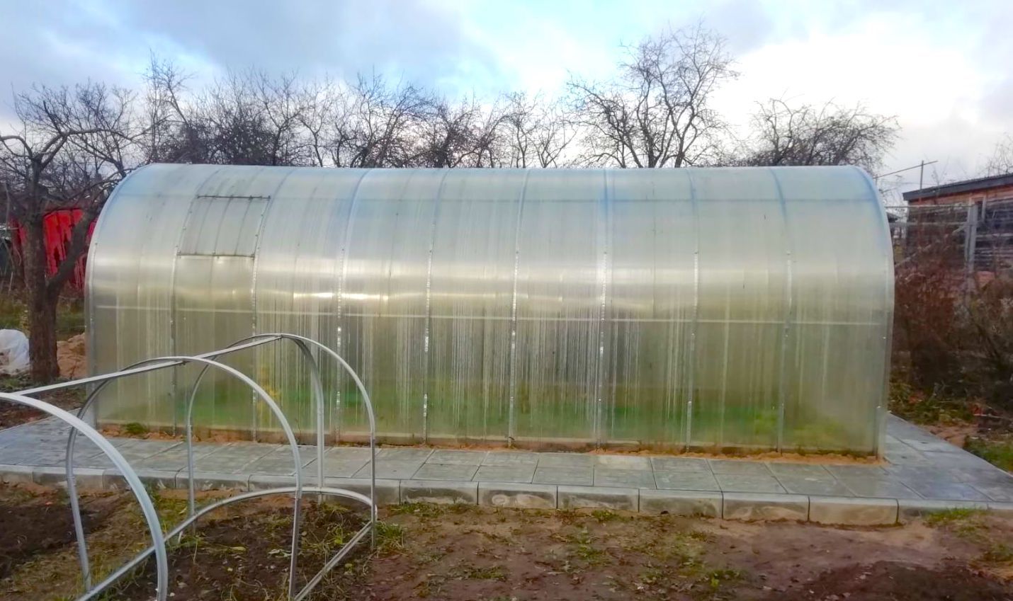 Главное «шоссе» моего участка — дорожка вокруг теплицы