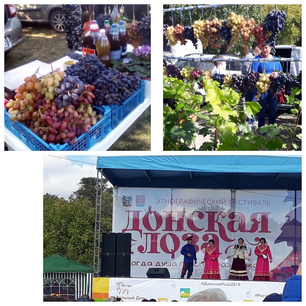 Выставка Донская лоза 2019 г. Собрала несколько десятков тысяч людей за два дня. За последние годы на нее стали организовывать туры для туристов