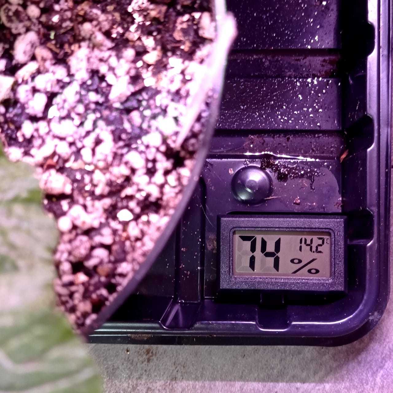 Новые условия