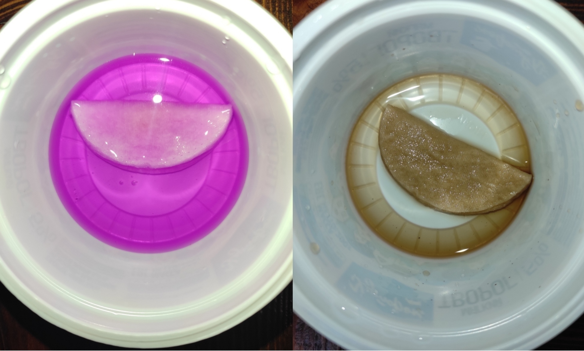 Замачивание семян в марганцовке и фитоспорине