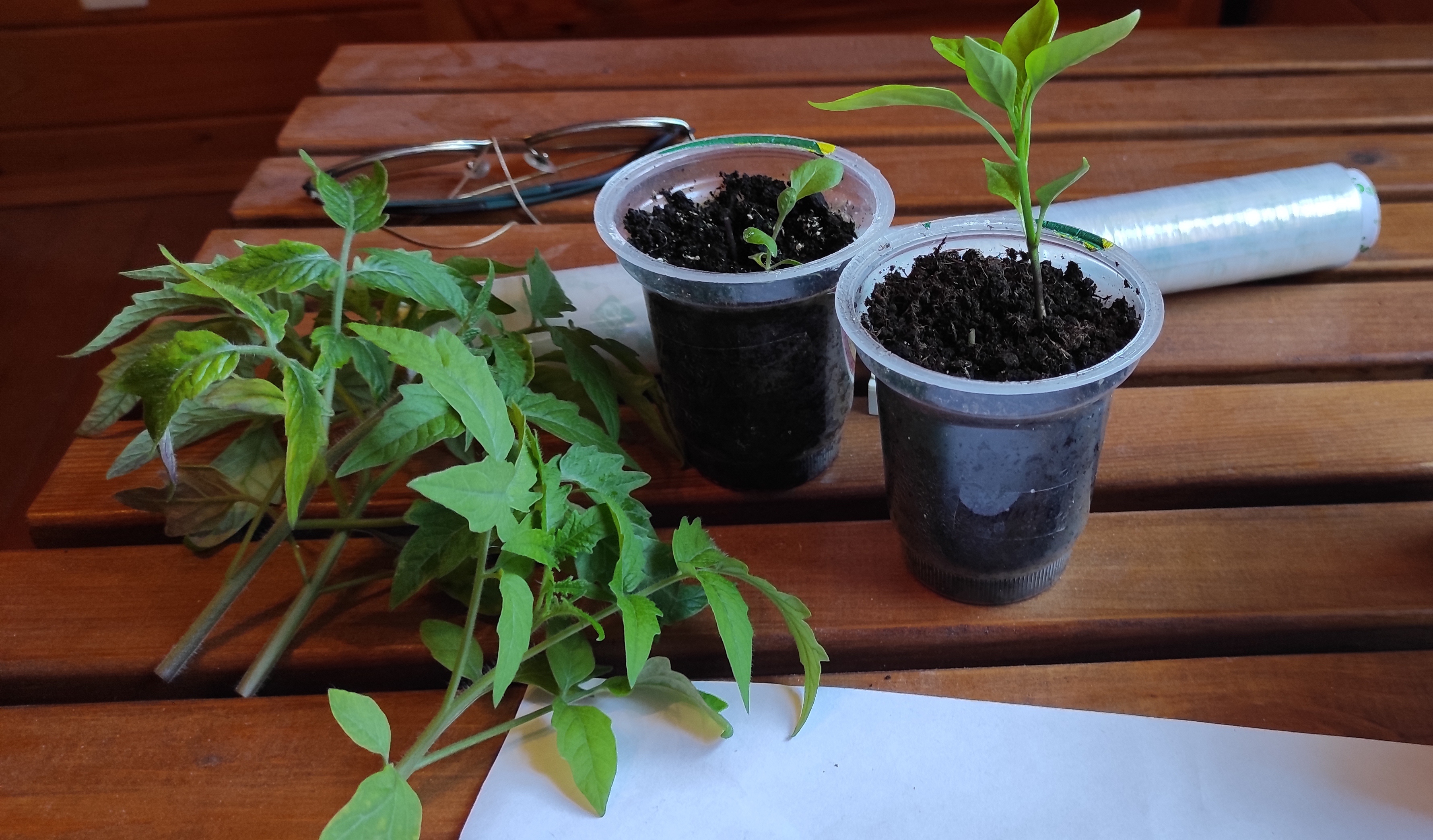 Контрольная группа