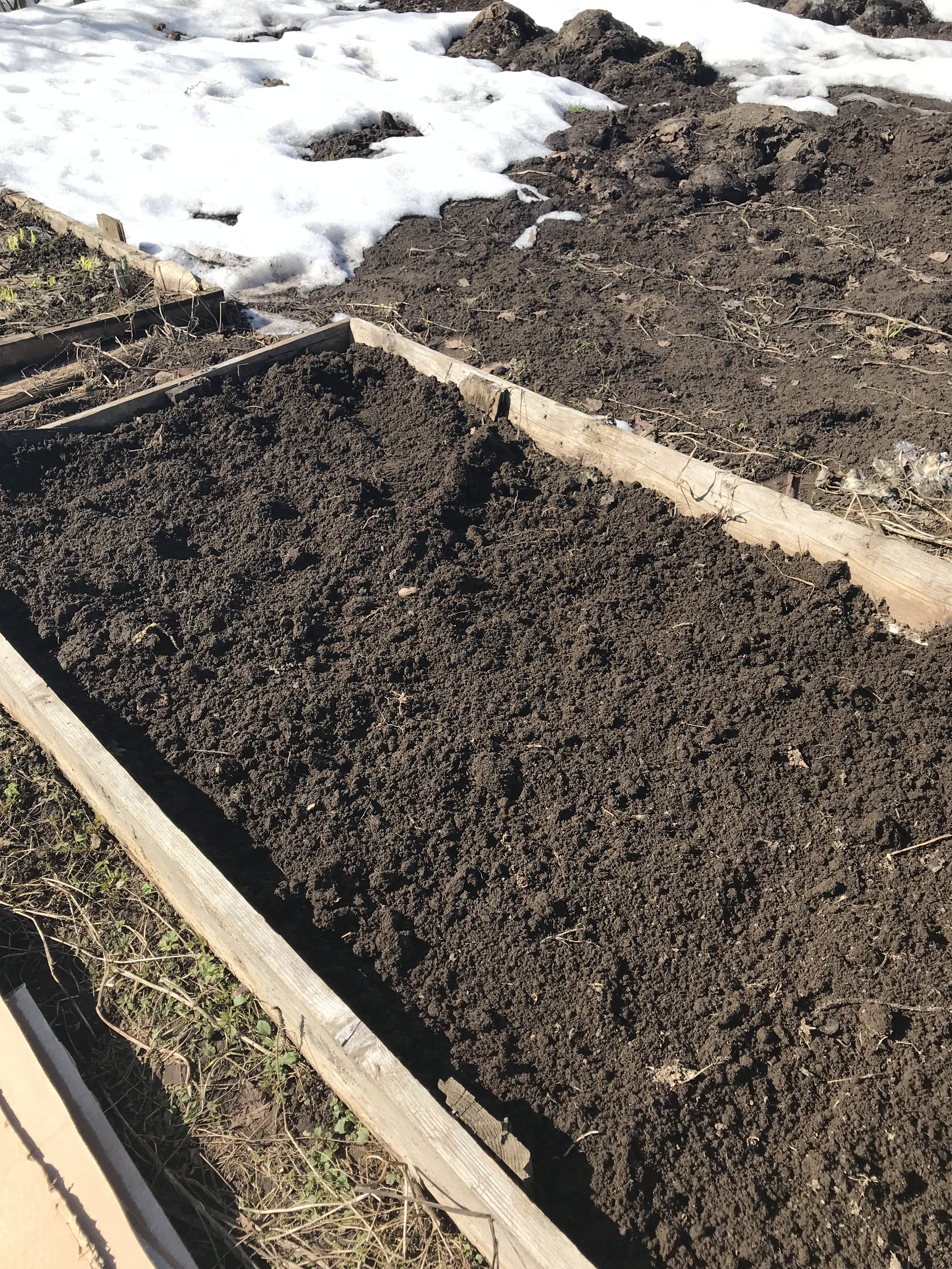 21 апреля. Грядка под морковь