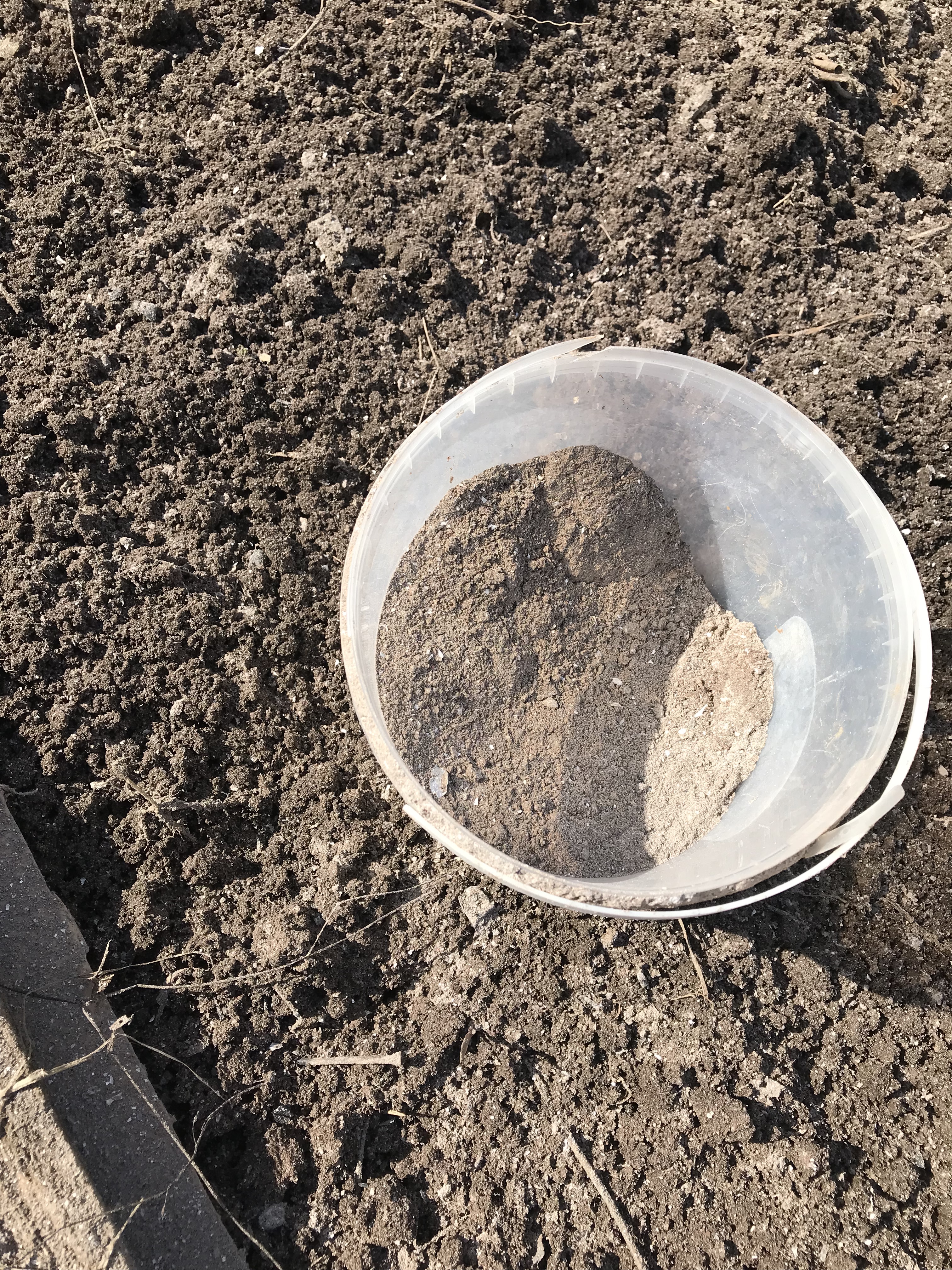 Землю порыхлила и золой присыпала