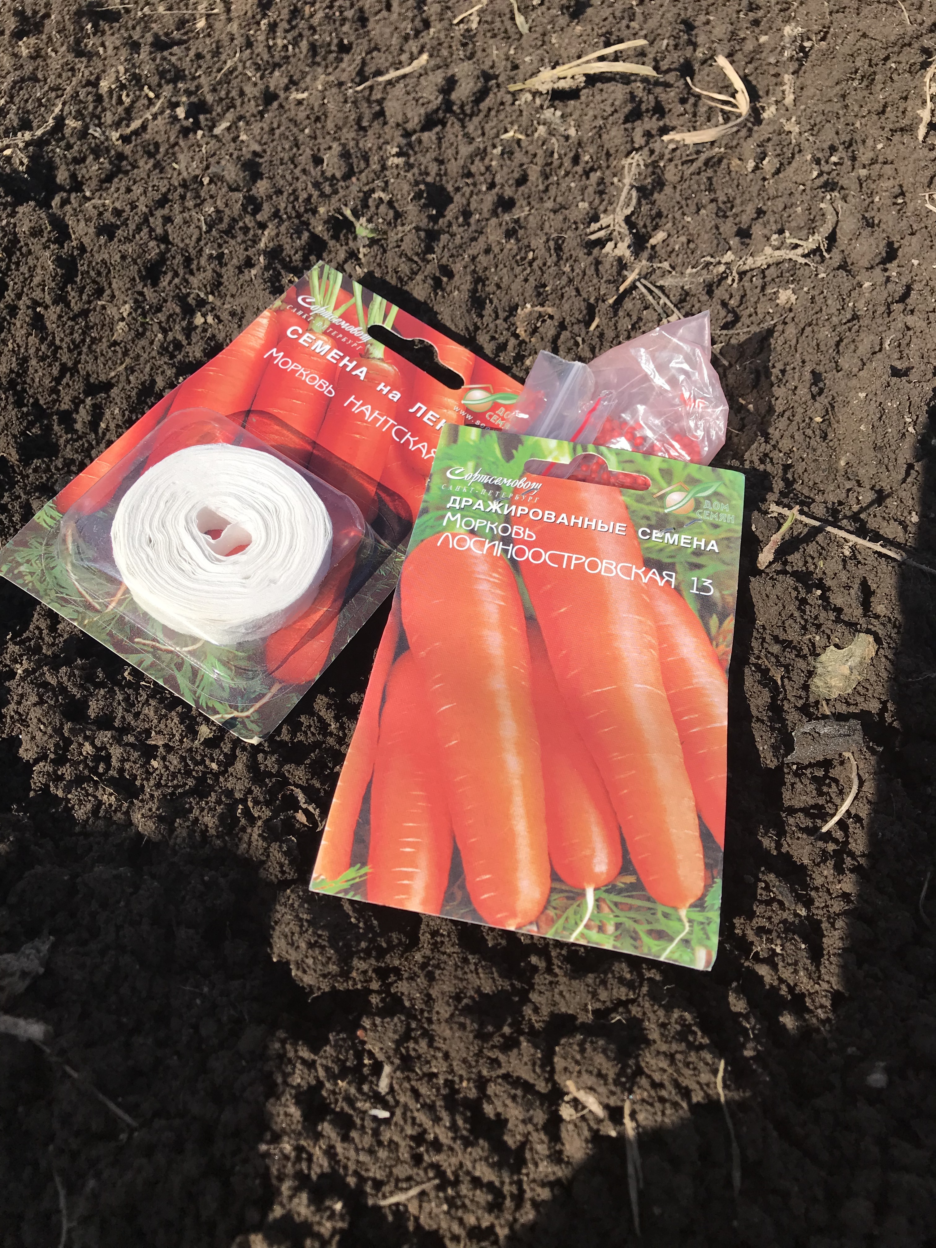 Сажать буду 'Лосиноостровскую'в драже и 'Нантскую' на ленте  