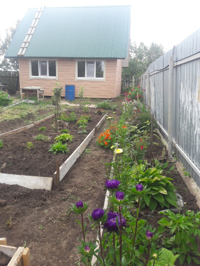Сад и огород для владельцев загородного дома: проектируем правильно