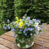yandex_77317781