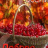 yandex_1170282526