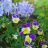 yandex_1061440028